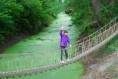 /album/donau-auen-23-9-2014/danau-auent059-jpg/